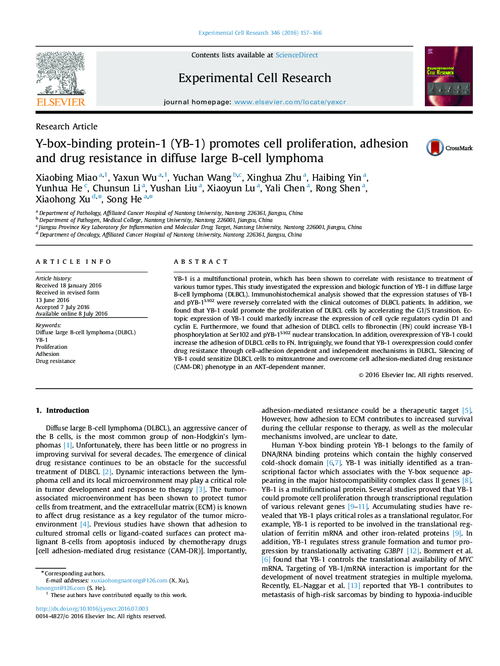 Y-box-binding protein-1 (YB-1) promotes cell proliferation, adhesion and drug resistance in diffuse large B-cell lymphoma