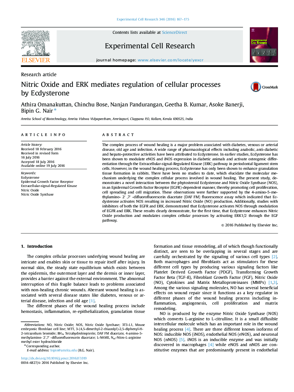 Nitric Oxide and ERK mediates regulation of cellular processes by Ecdysterone