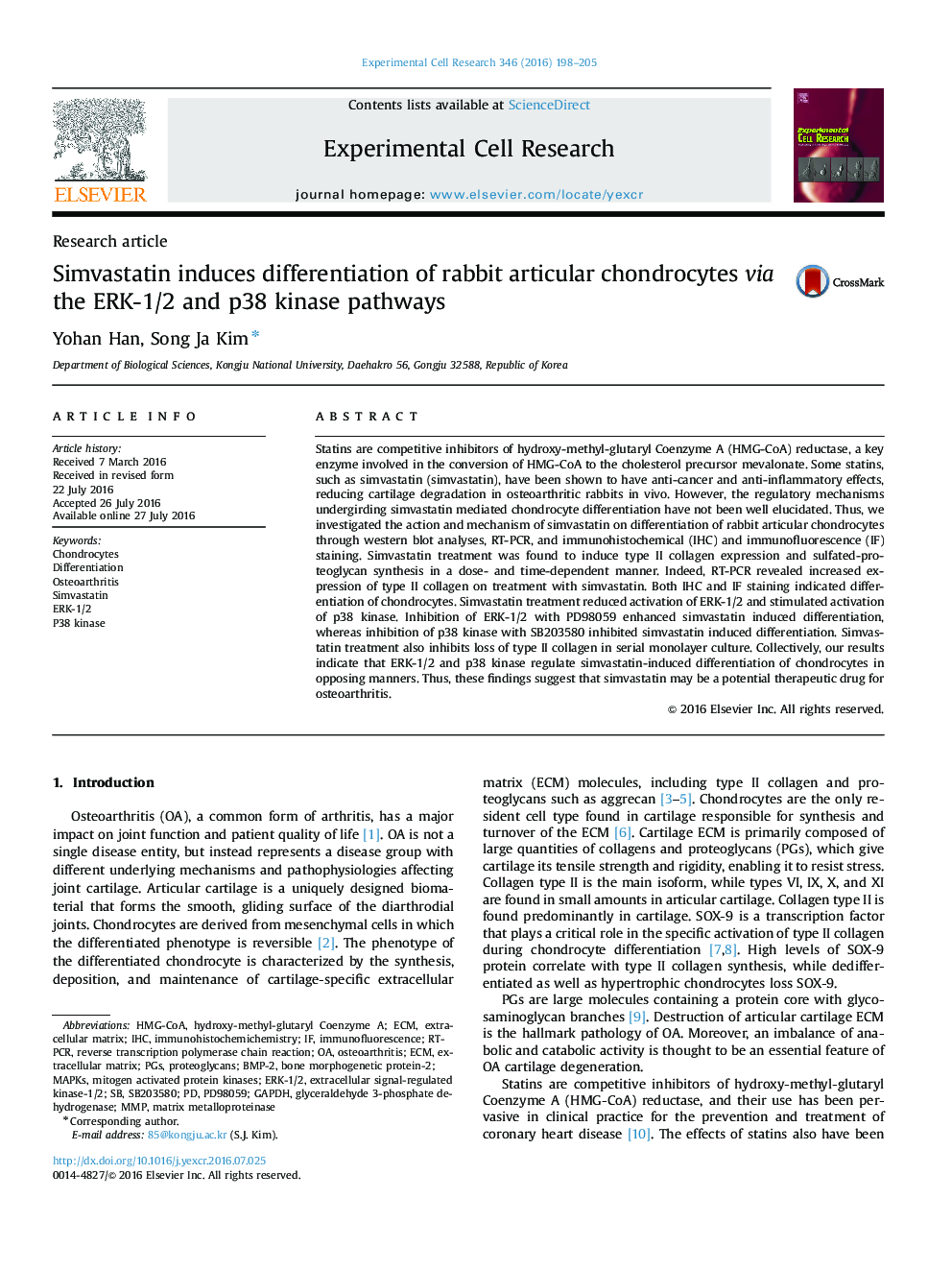 Simvastatin induces differentiation of rabbit articular chondrocytes via the ERK-1/2 and p38 kinase pathways