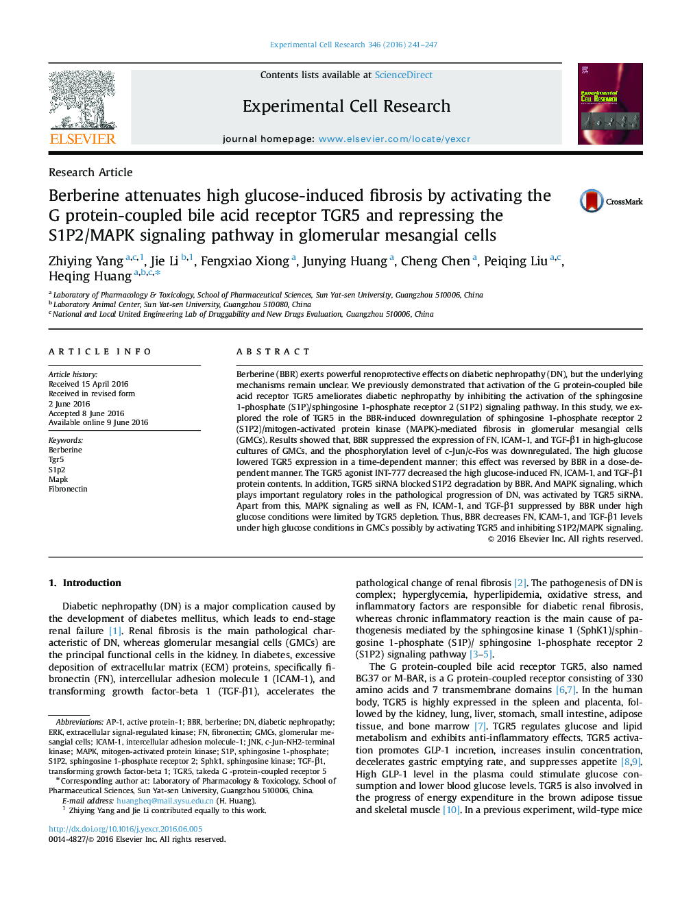 Berberine attenuates high glucose-induced fibrosis by activating the G protein-coupled bile acid receptor TGR5 and repressing the S1P2/MAPK signaling pathway in glomerular mesangial cells