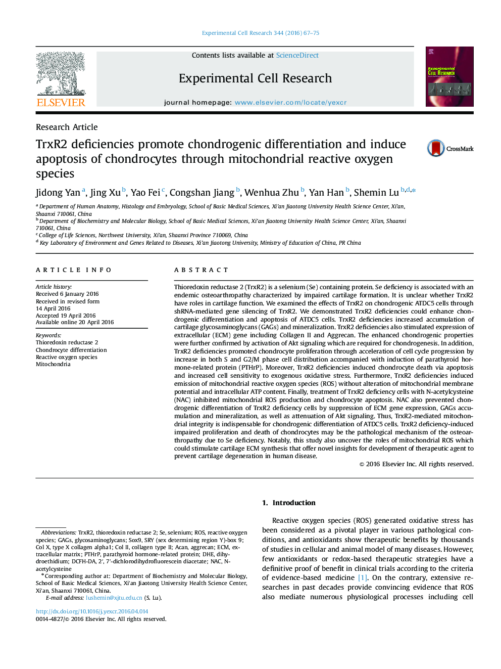 TrxR2 deficiencies promote chondrogenic differentiation and induce apoptosis of chondrocytes through mitochondrial reactive oxygen species