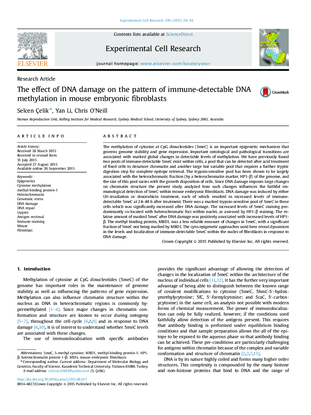 The effect of DNA damage on the pattern of immune-detectable DNA methylation in mouse embryonic fibroblasts
