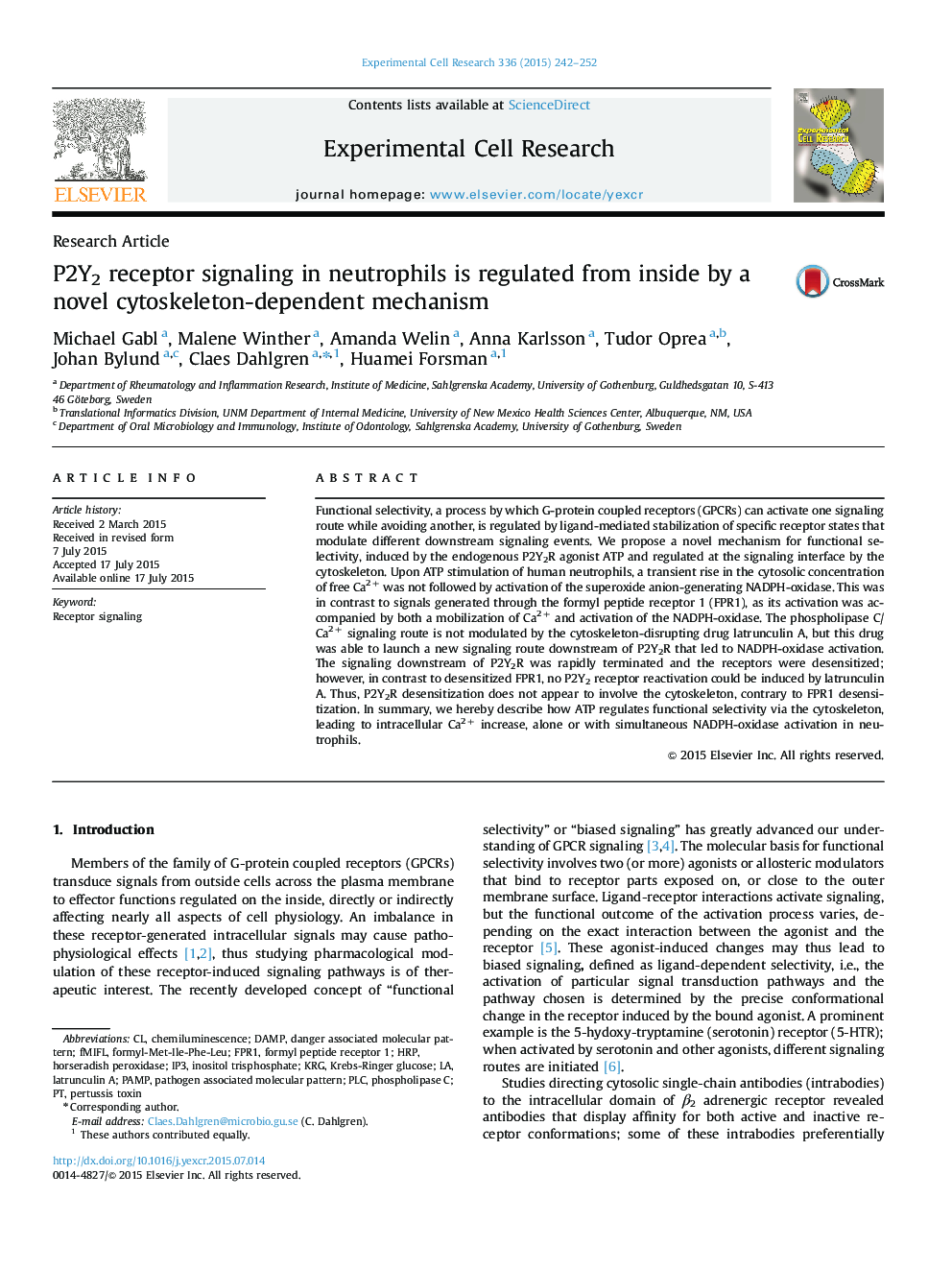 P2Y2 receptor signaling in neutrophils is regulated from inside by a novel cytoskeleton-dependent mechanism