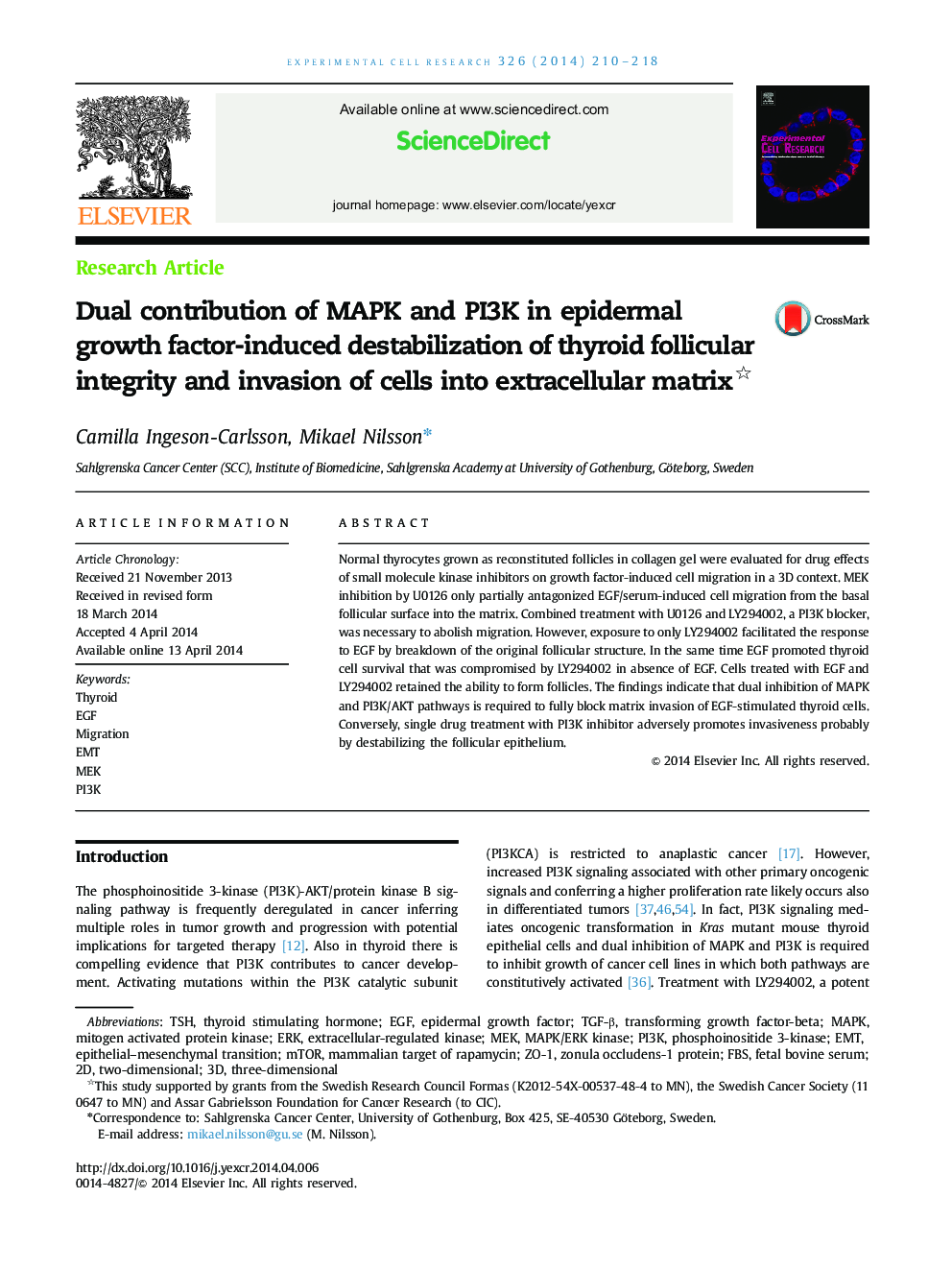 Dual contribution of MAPK and PI3K in epidermal growth factor-induced destabilization of thyroid follicular integrity and invasion of cells into extracellular matrix 