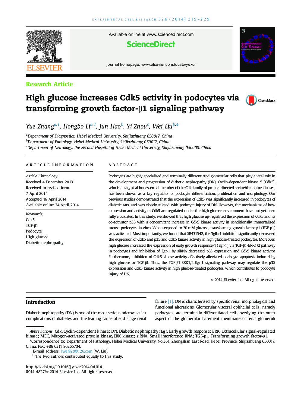 High glucose increases Cdk5 activity in podocytes via transforming growth factor-β1 signaling pathway