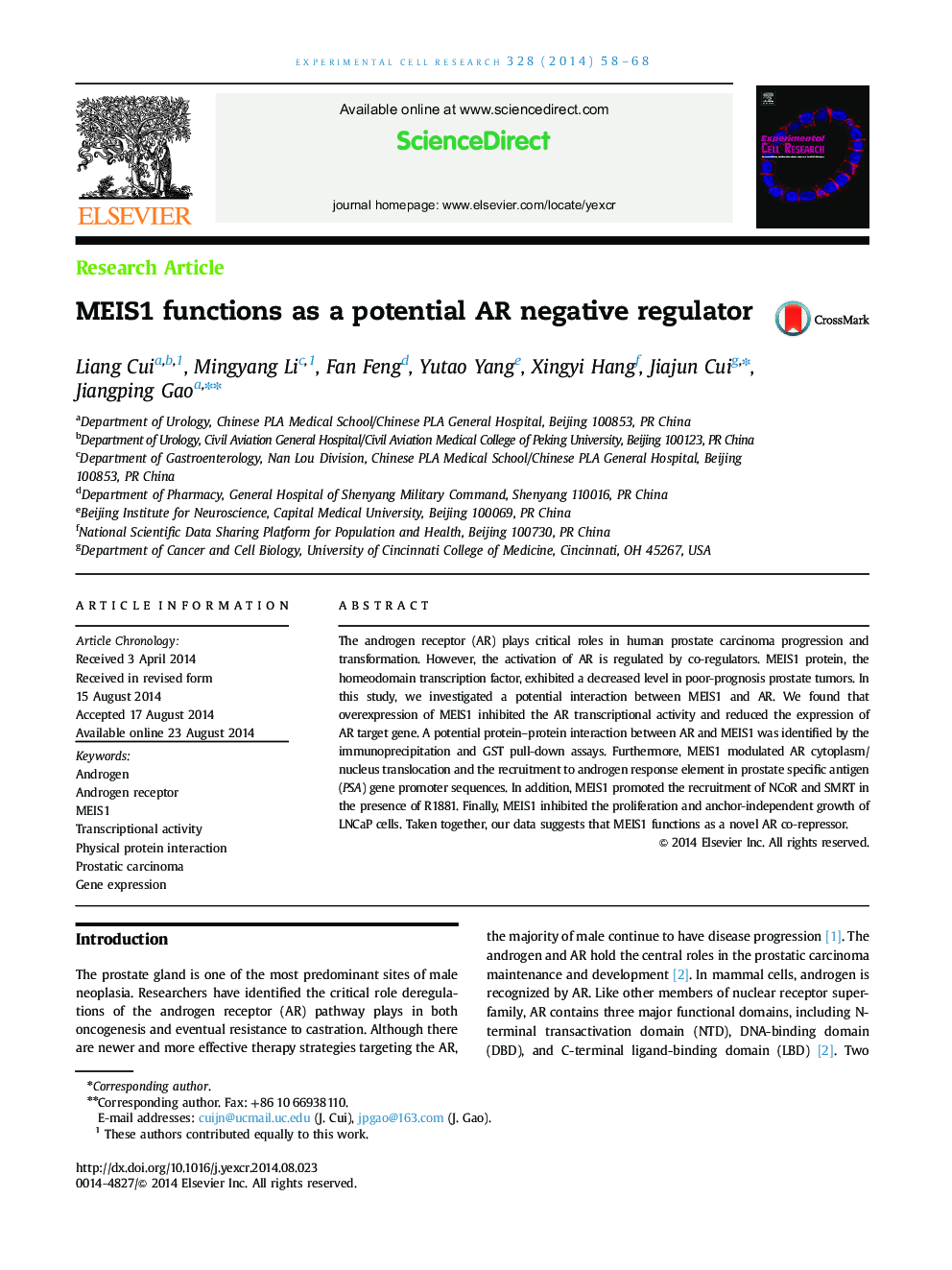 MEIS1 functions as a potential AR negative regulator