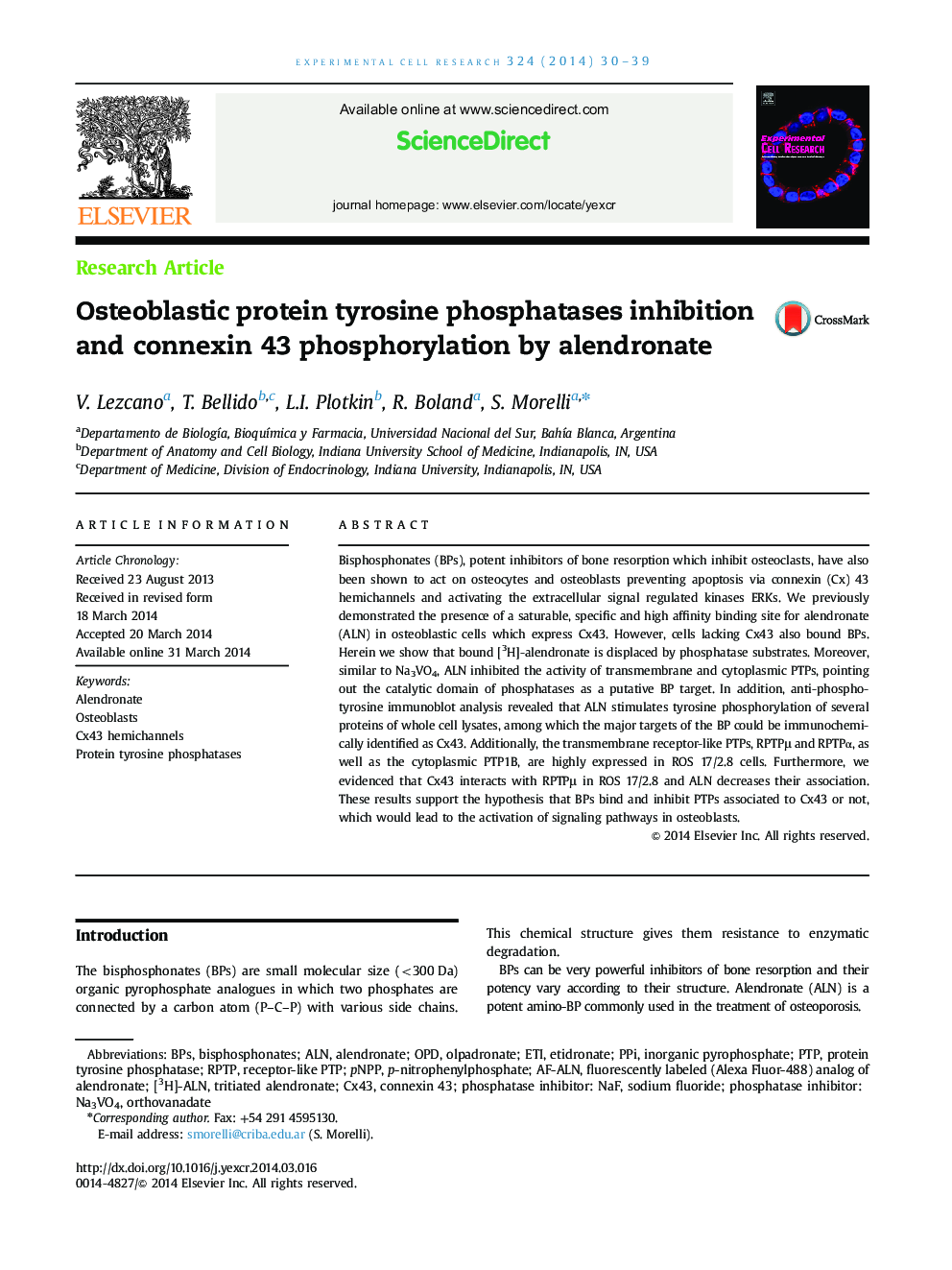 Osteoblastic protein tyrosine phosphatases inhibition and connexin 43 phosphorylation by alendronate