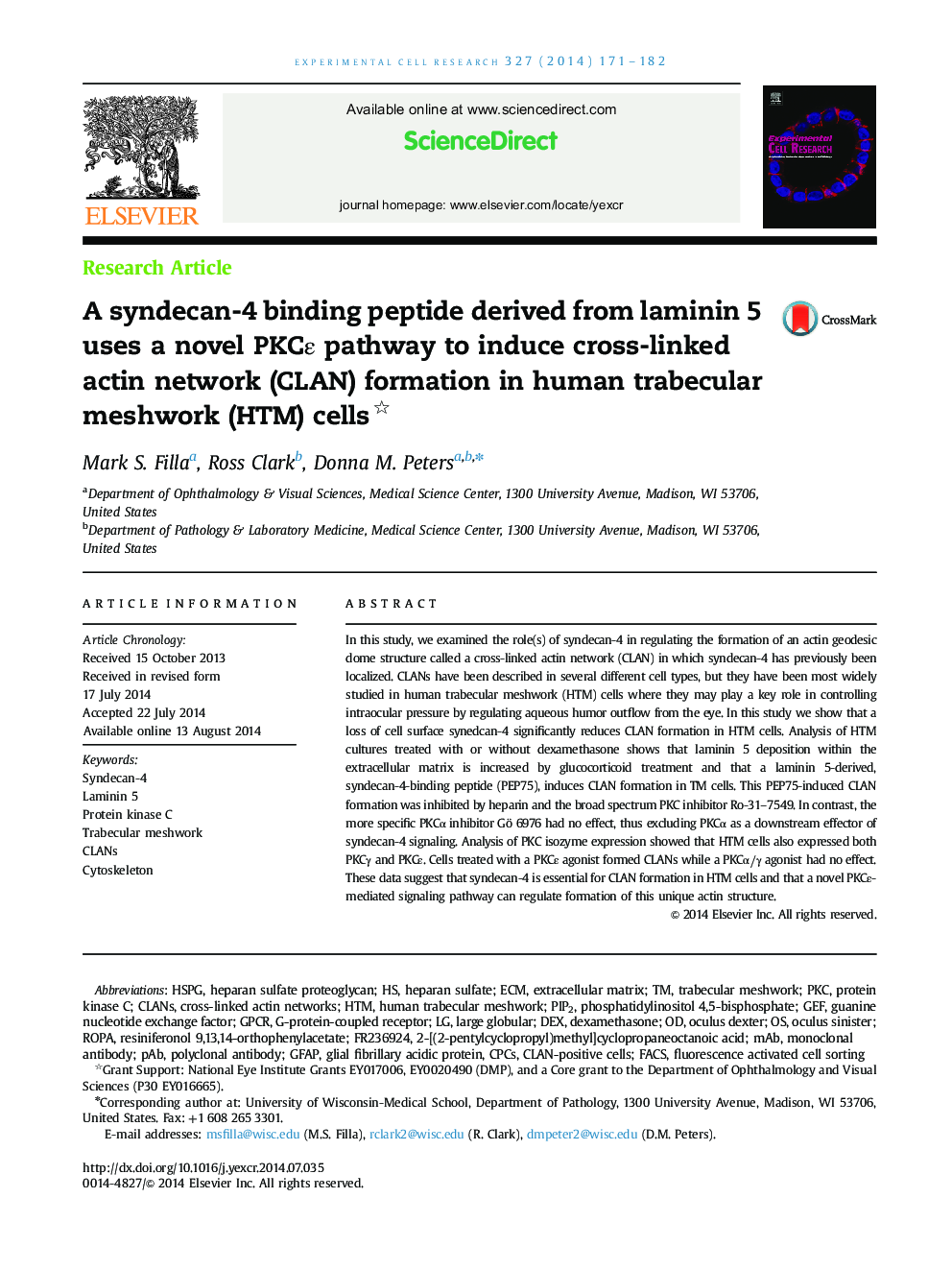 A syndecan-4 binding peptide derived from laminin 5 uses a novel PKCε pathway to induce cross-linked actin network (CLAN) formation in human trabecular meshwork (HTM) cells 