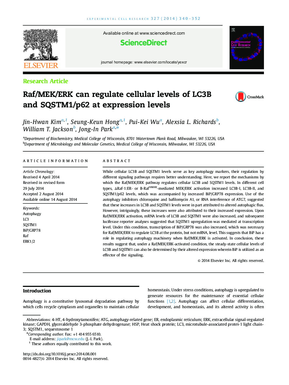 Raf/MEK/ERK can regulate cellular levels of LC3B and SQSTM1/p62 at expression levels