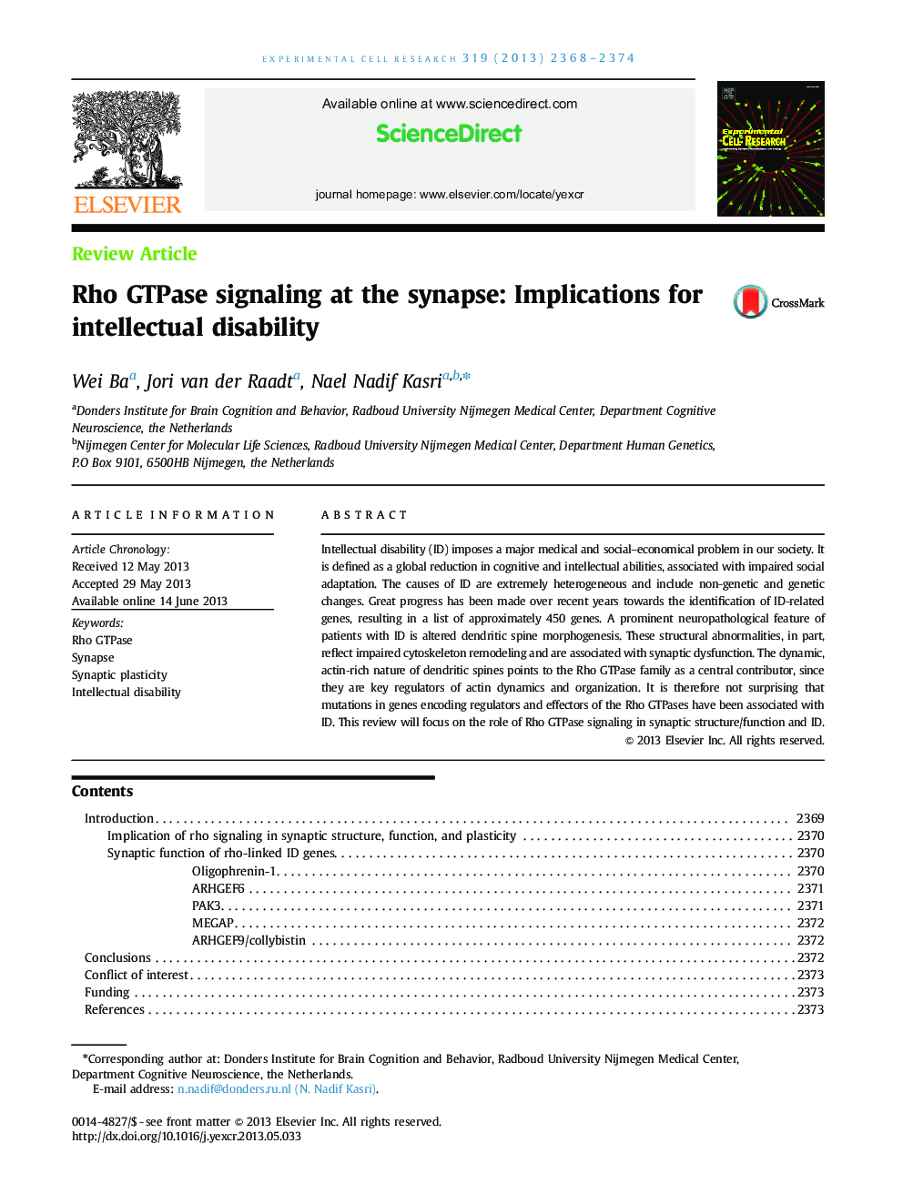 Rho GTPase signaling at the synapse: Implications for intellectual disability