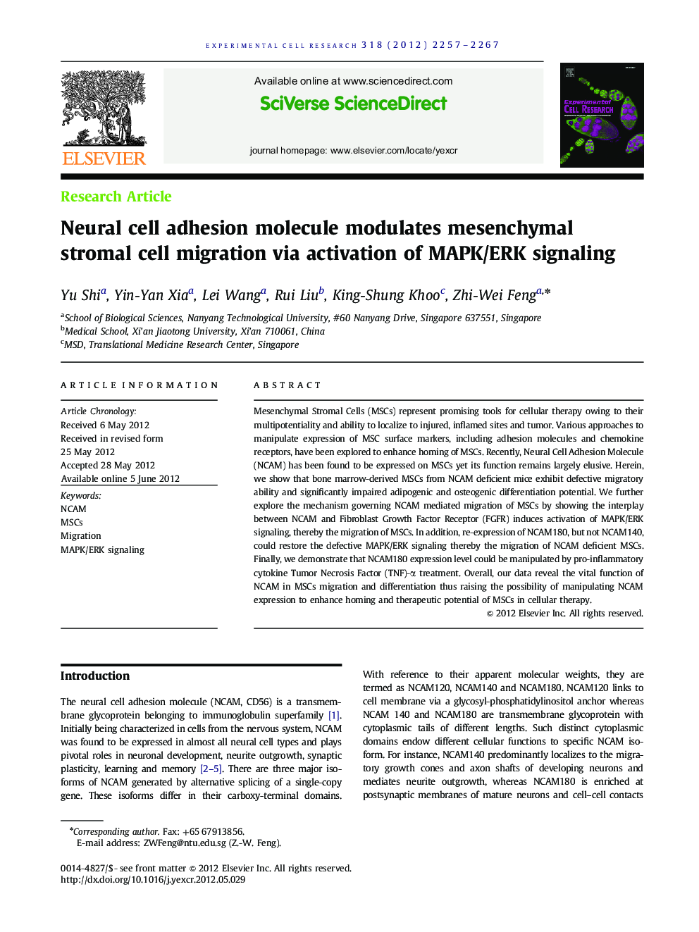 Neural cell adhesion molecule modulates mesenchymal stromal cell migration via activation of MAPK/ERK signaling