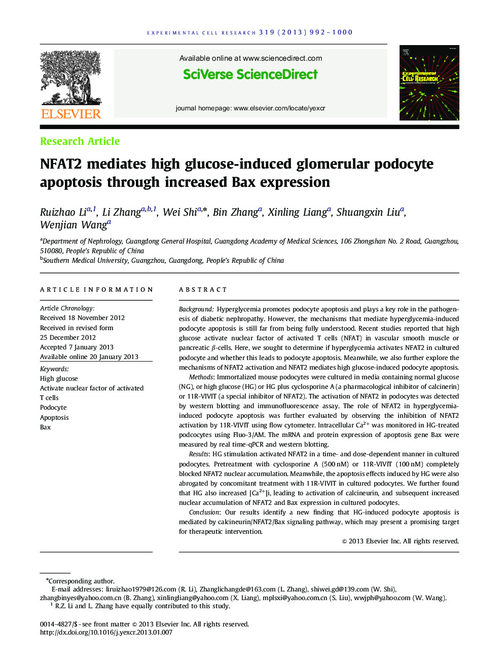 NFAT2 mediates high glucose-induced glomerular podocyte apoptosis through increased Bax expression