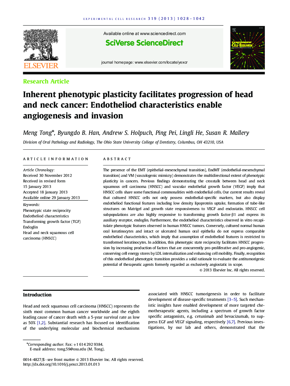 Inherent phenotypic plasticity facilitates progression of head and neck cancer: Endotheliod characteristics enable angiogenesis and invasion