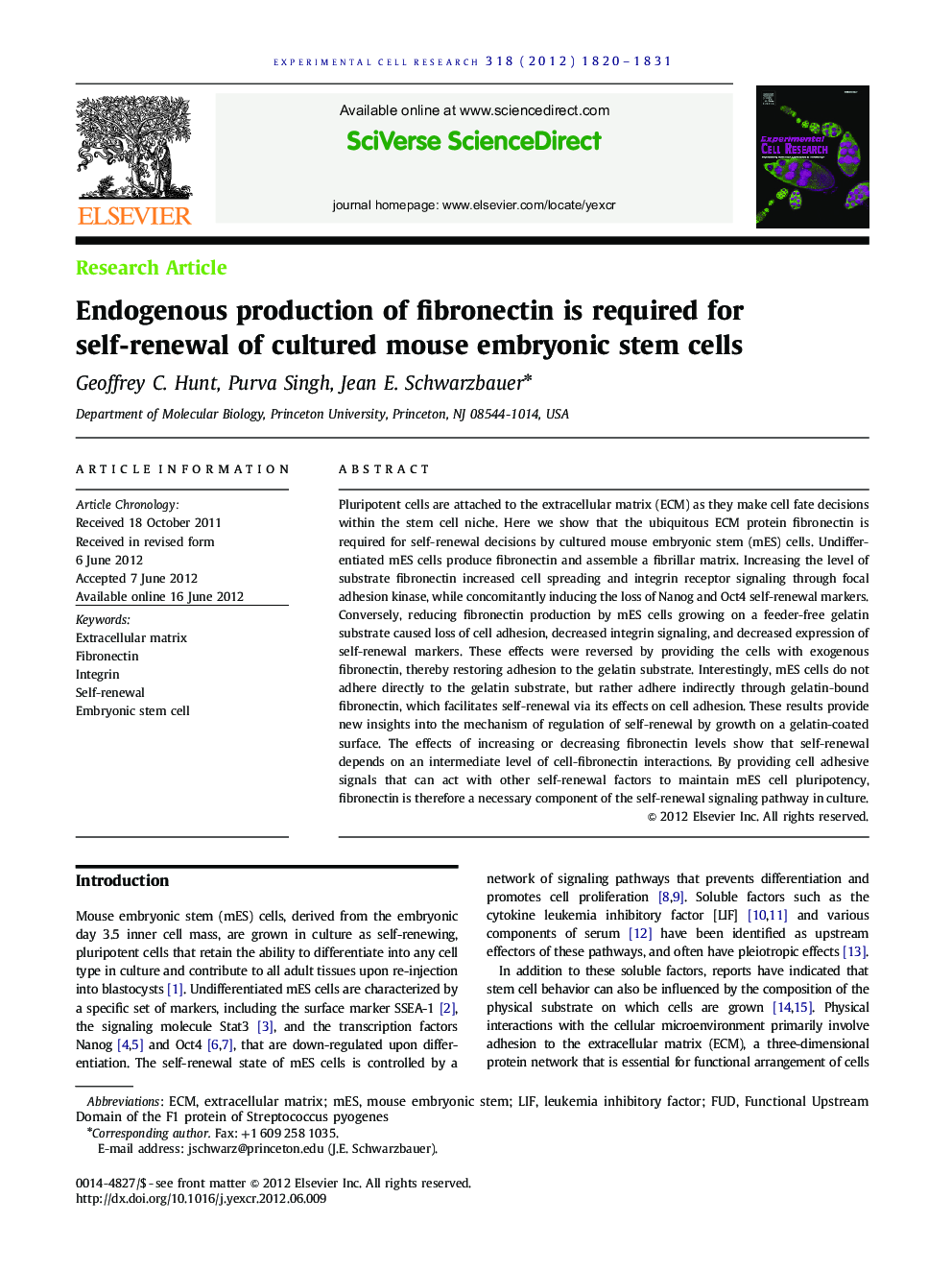 Endogenous production of fibronectin is required for self-renewal of cultured mouse embryonic stem cells