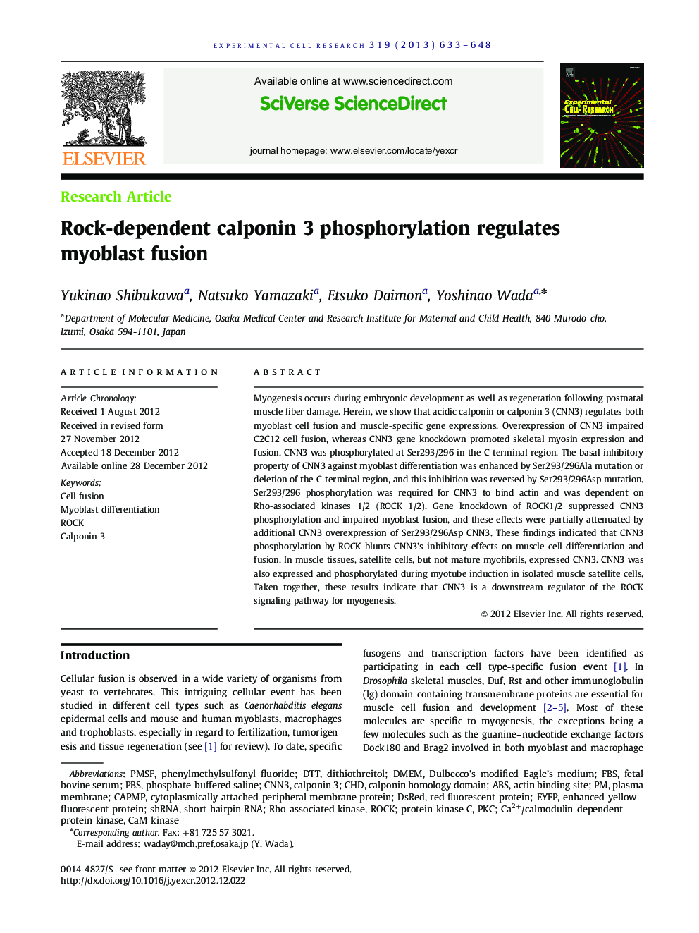 Rock-dependent calponin 3 phosphorylation regulates myoblast fusion