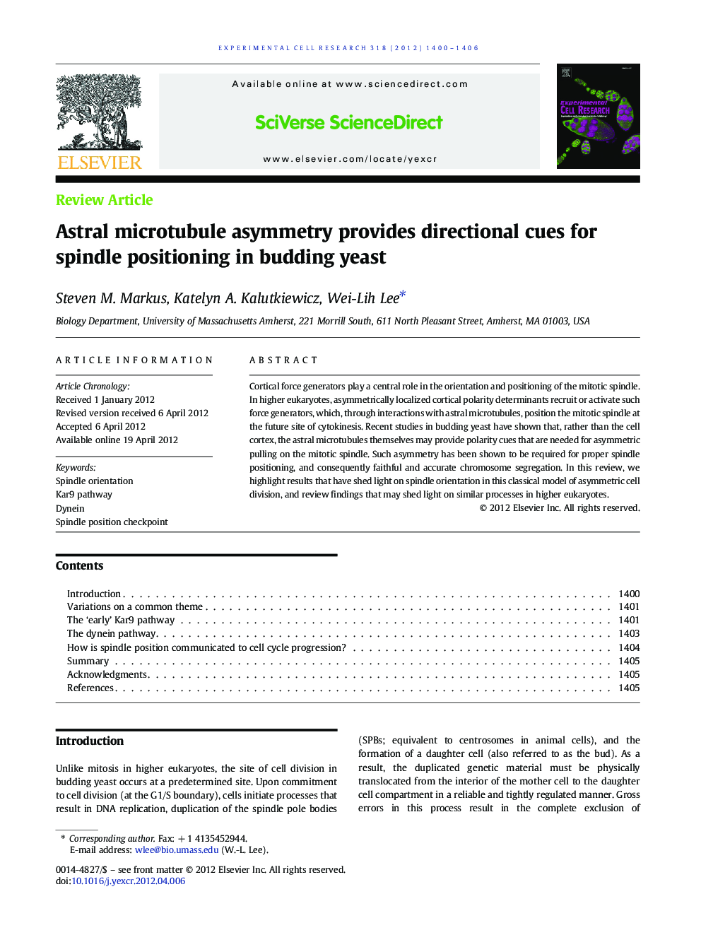 Astral microtubule asymmetry provides directional cues for spindle positioning in budding yeast