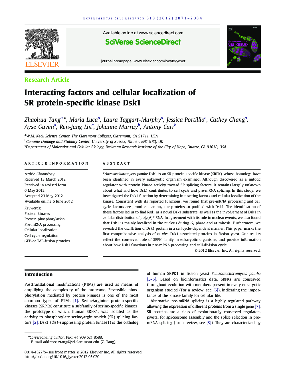 Interacting factors and cellular localization of SR protein-specific kinase Dsk1