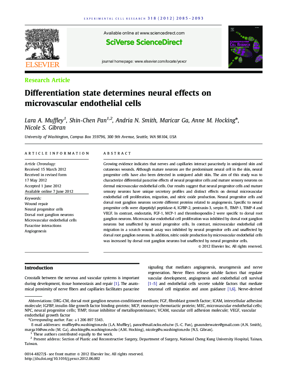 Differentiation state determines neural effects on microvascular endothelial cells