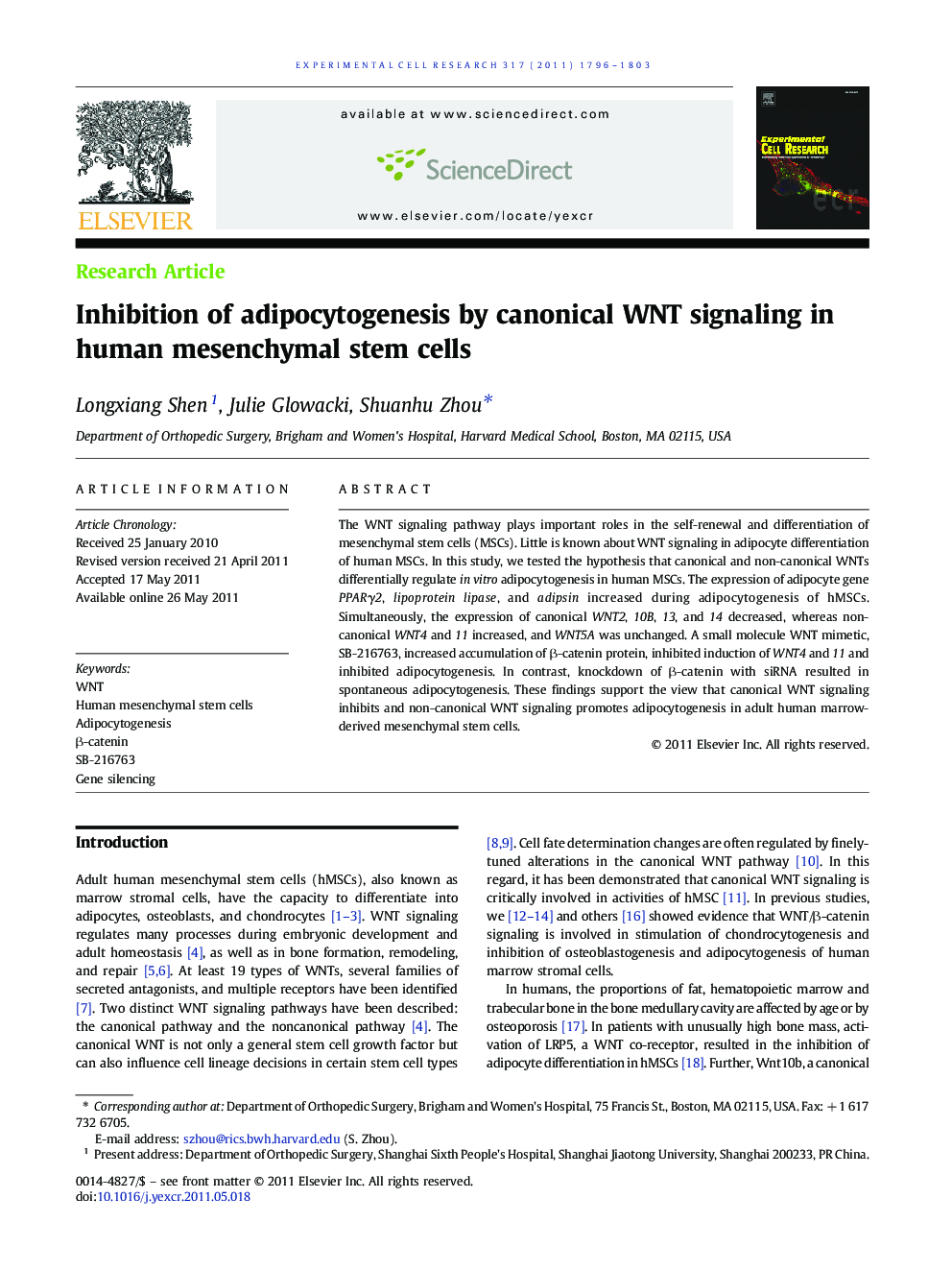 Inhibition of adipocytogenesis by canonical WNT signaling in human mesenchymal stem cells