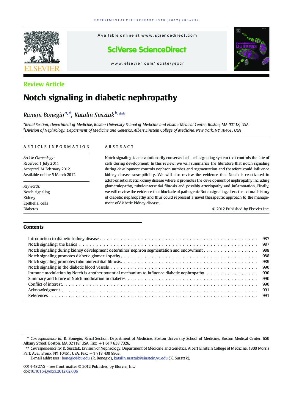 Notch signaling in diabetic nephropathy