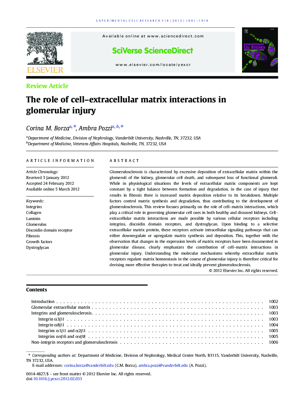 The role of cell-extracellular matrix interactions in glomerular injury