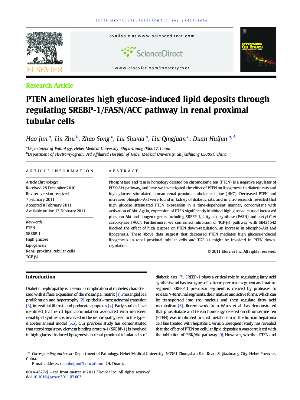 PTEN ameliorates high glucose-induced lipid deposits through regulating SREBP-1/FASN/ACC pathway in renal proximal tubular cells