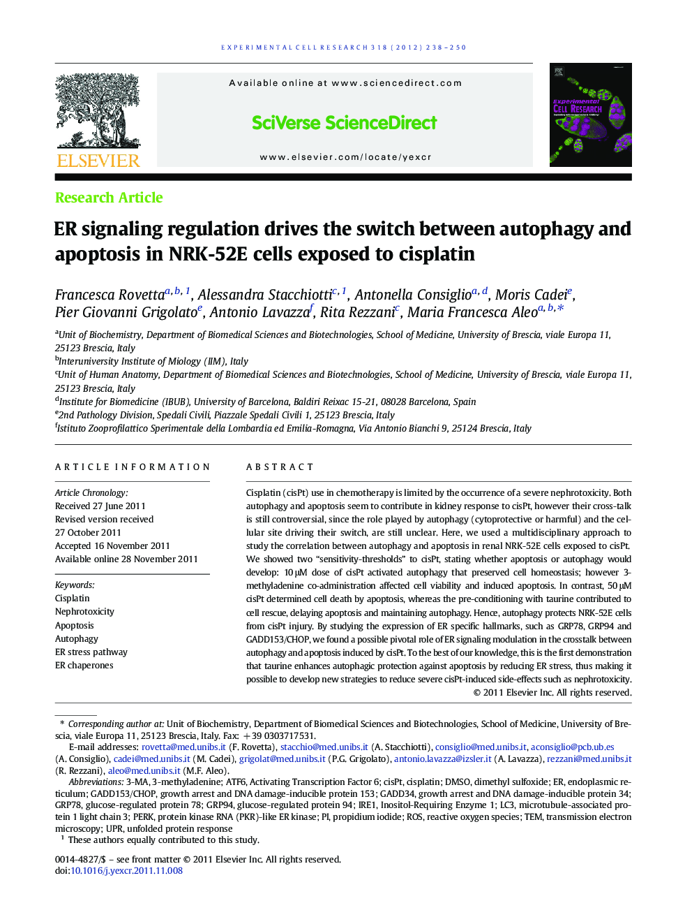 ER signaling regulation drives the switch between autophagy and apoptosis in NRK-52E cells exposed to cisplatin