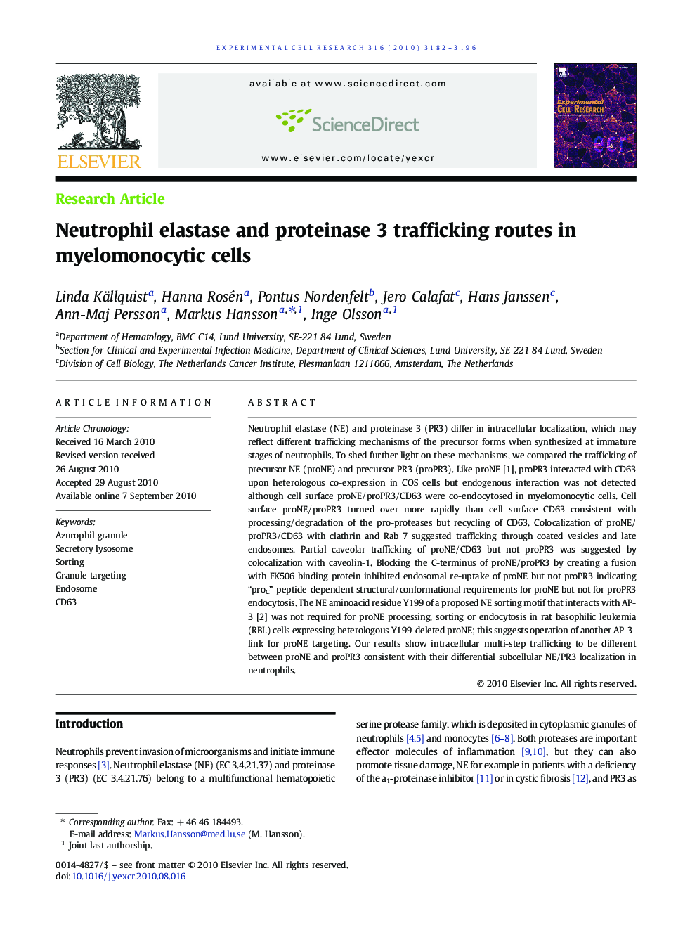 Neutrophil elastase and proteinase 3 trafficking routes in myelomonocytic cells