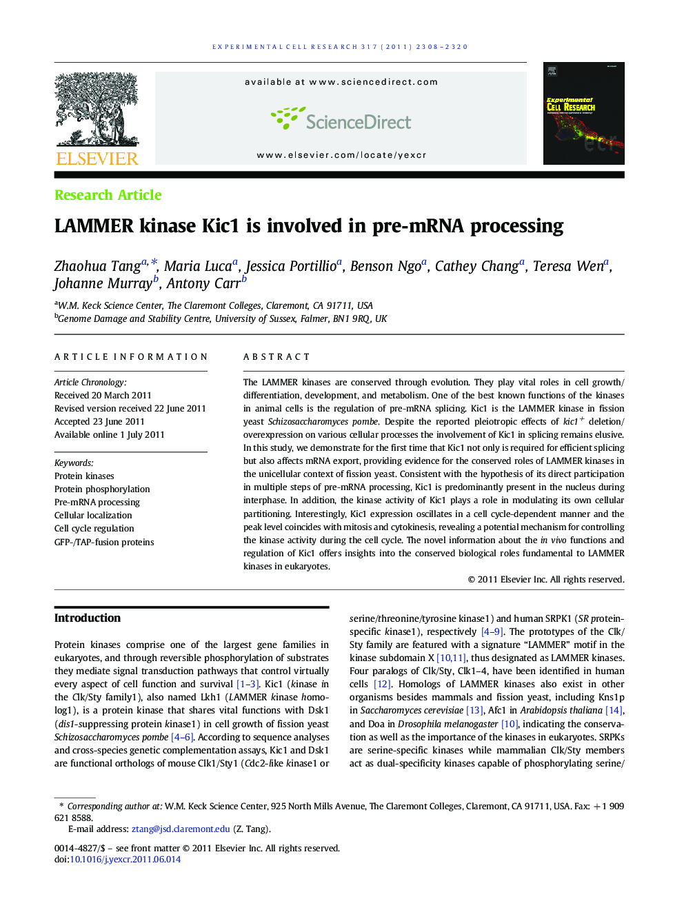 LAMMER kinase Kic1 is involved in pre-mRNA processing