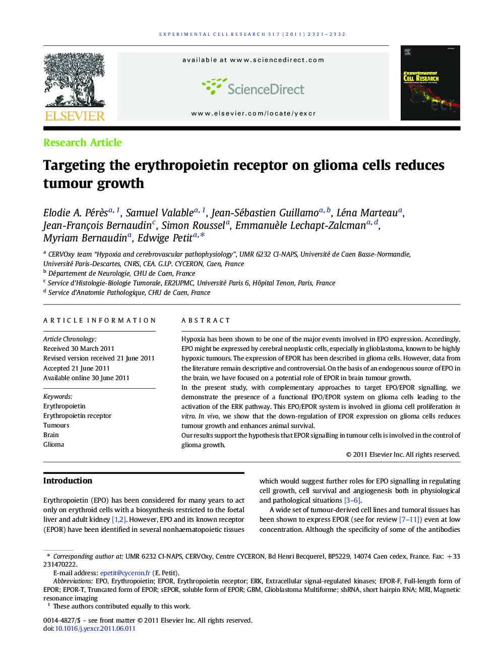 Targeting the erythropoietin receptor on glioma cells reduces tumour growth