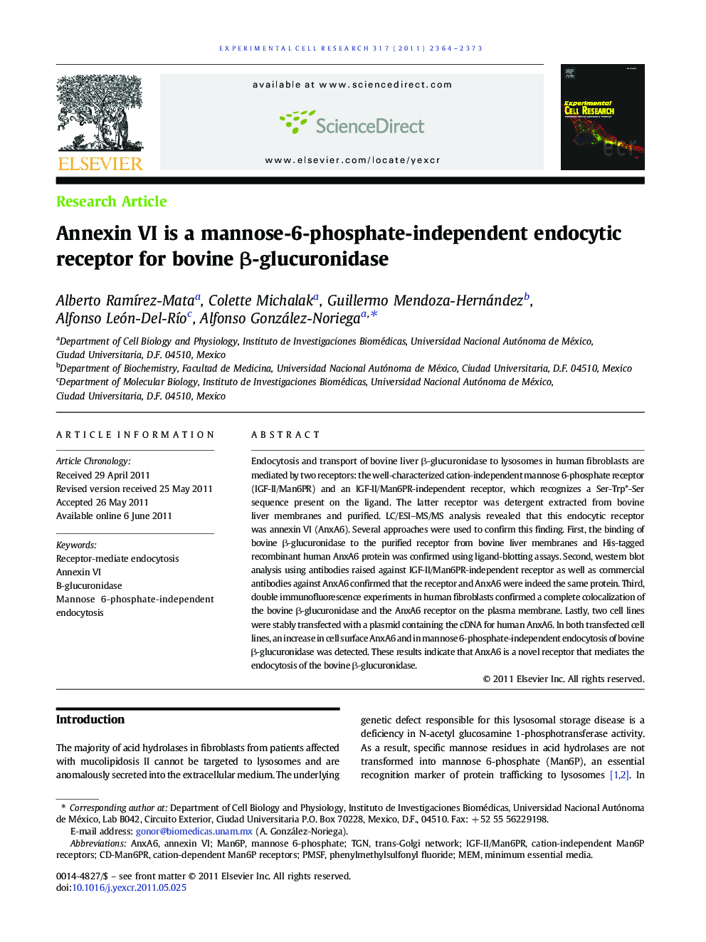 Annexin VI is a mannose-6-phosphate-independent endocytic receptor for bovine β-glucuronidase