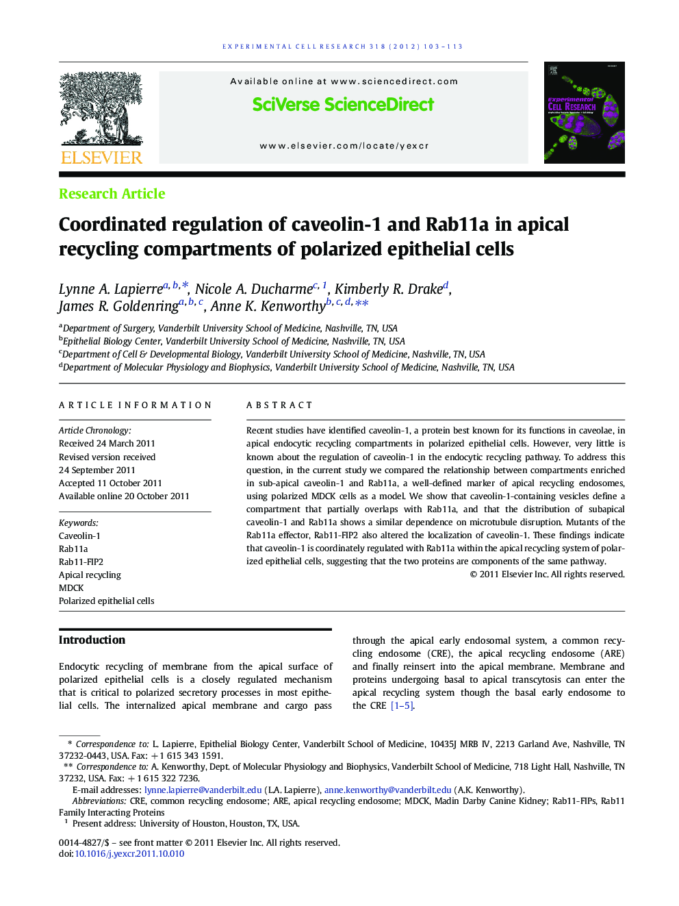 Coordinated regulation of caveolin-1 and Rab11a in apical recycling compartments of polarized epithelial cells