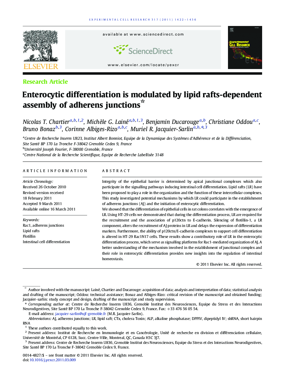 Enterocytic differentiation is modulated by lipid rafts-dependent assembly of adherens junctions 