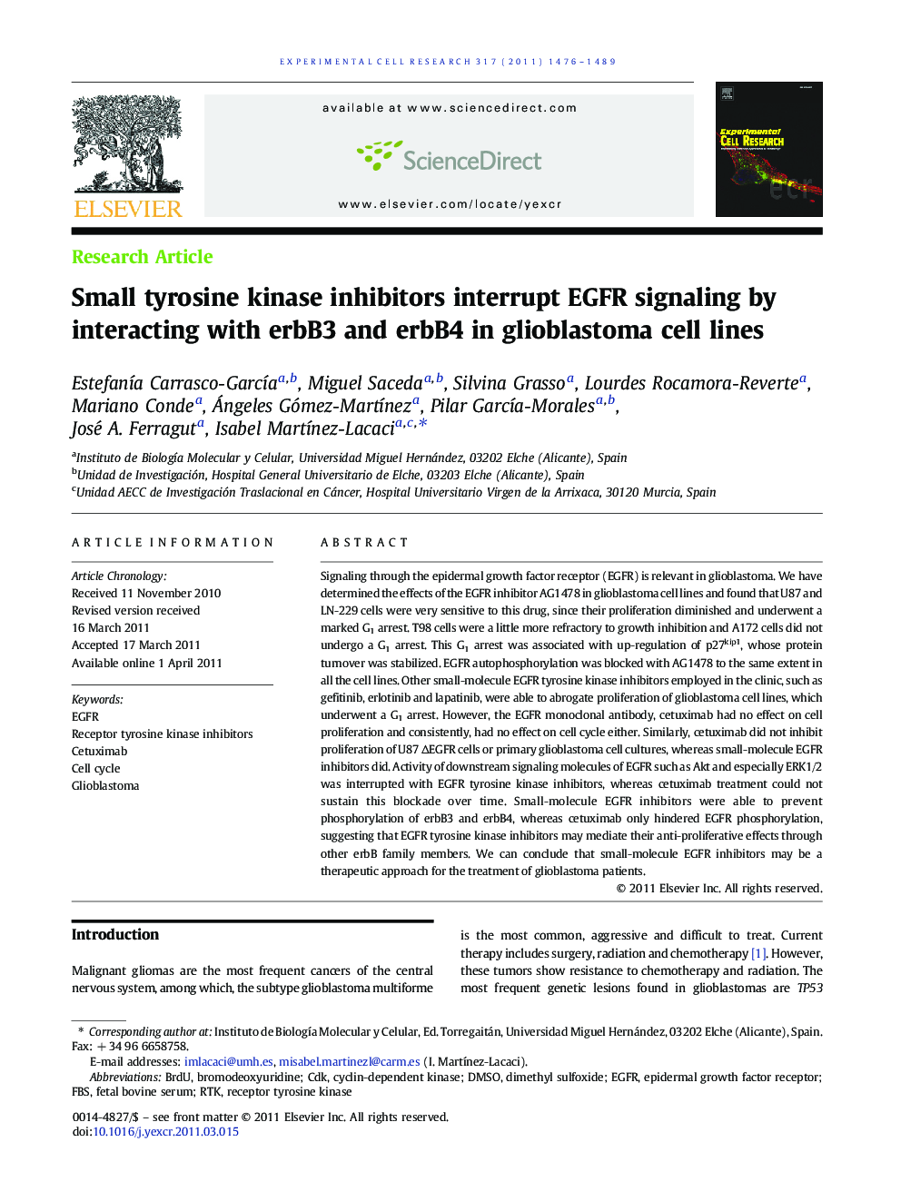 Small tyrosine kinase inhibitors interrupt EGFR signaling by interacting with erbB3 and erbB4 in glioblastoma cell lines