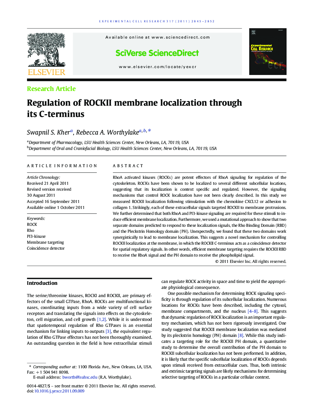 Regulation of ROCKII membrane localization through its C-terminus