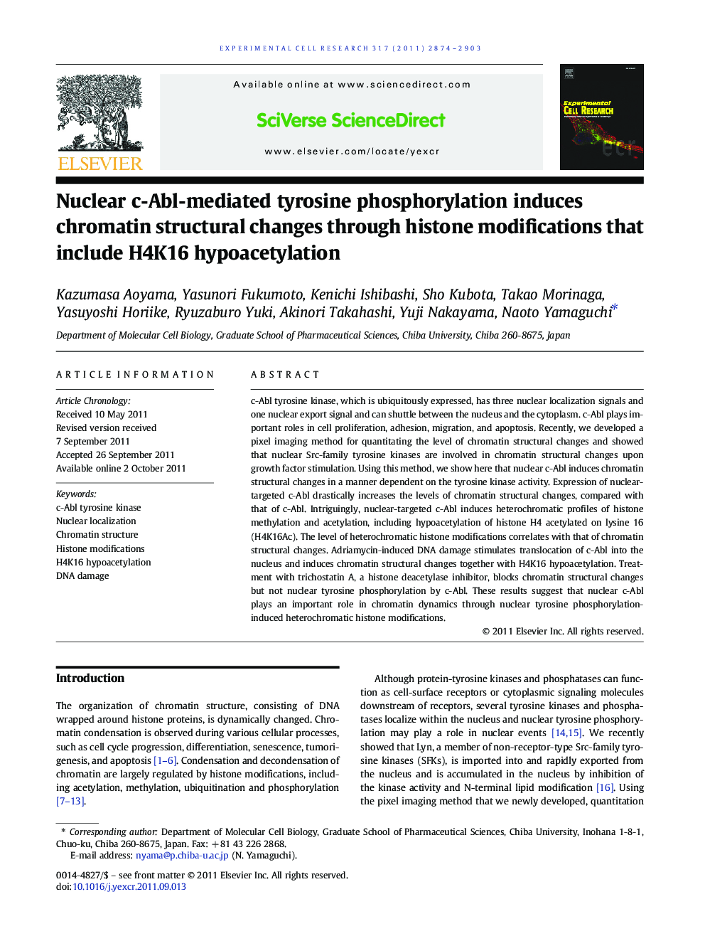 Nuclear c-Abl-mediated tyrosine phosphorylation induces chromatin structural changes through histone modifications that include H4K16 hypoacetylation