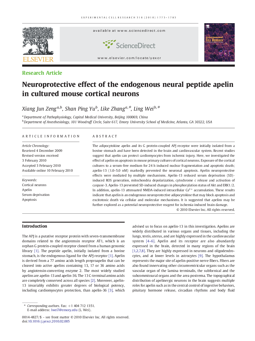 Neuroprotective effect of the endogenous neural peptide apelin in cultured mouse cortical neurons