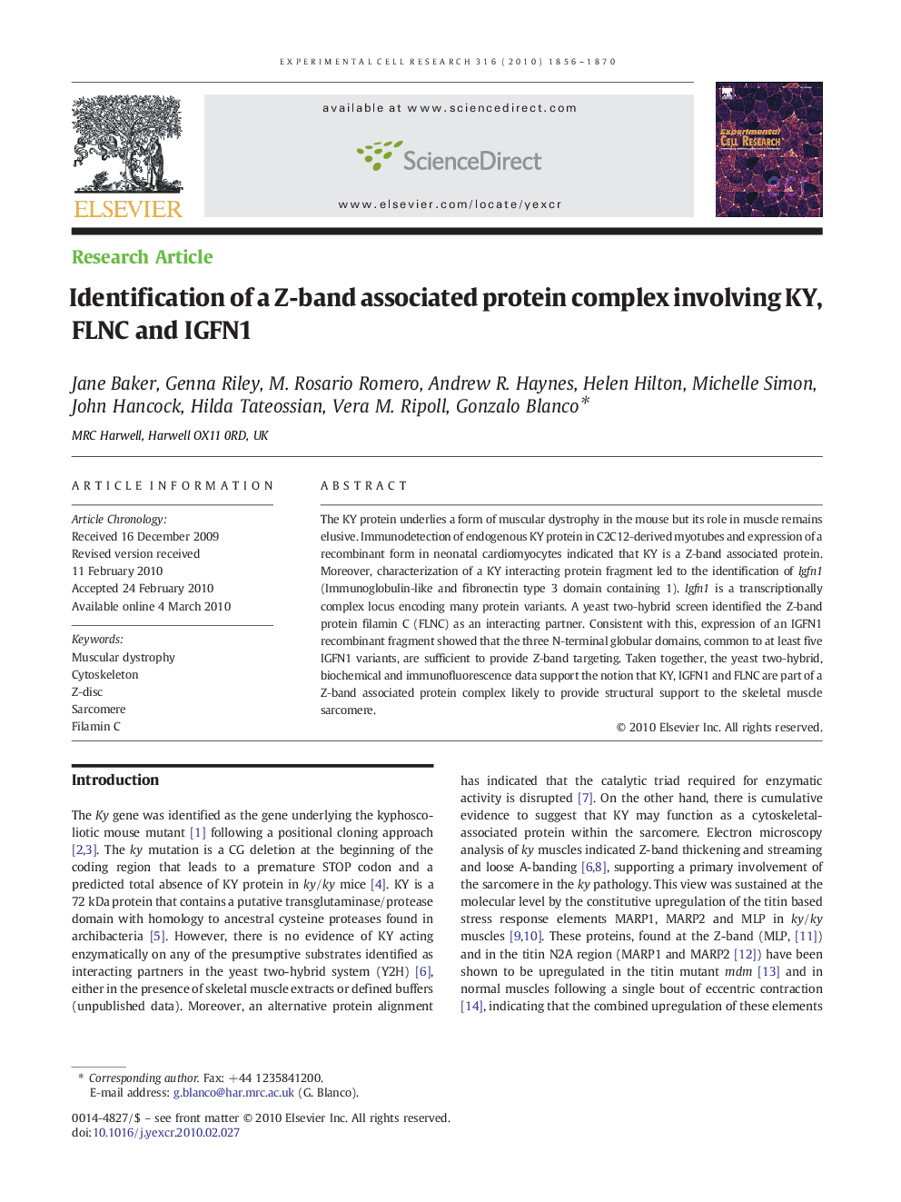 Identification of a Z-band associated protein complex involving KY, FLNC and IGFN1