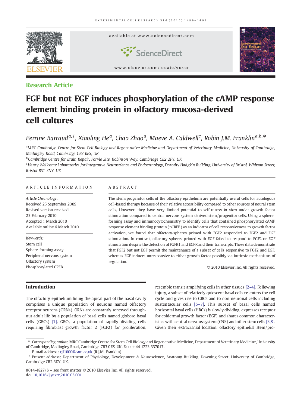 FGF but not EGF induces phosphorylation of the cAMP response element binding protein in olfactory mucosa-derived cell cultures