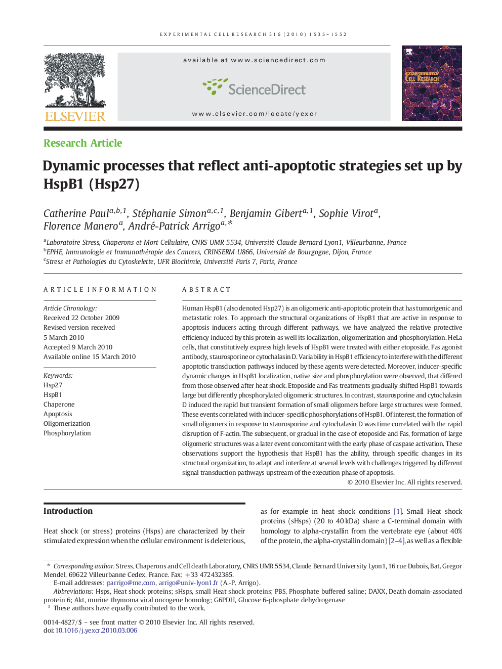 Dynamic processes that reflect anti-apoptotic strategies set up by HspB1 (Hsp27)