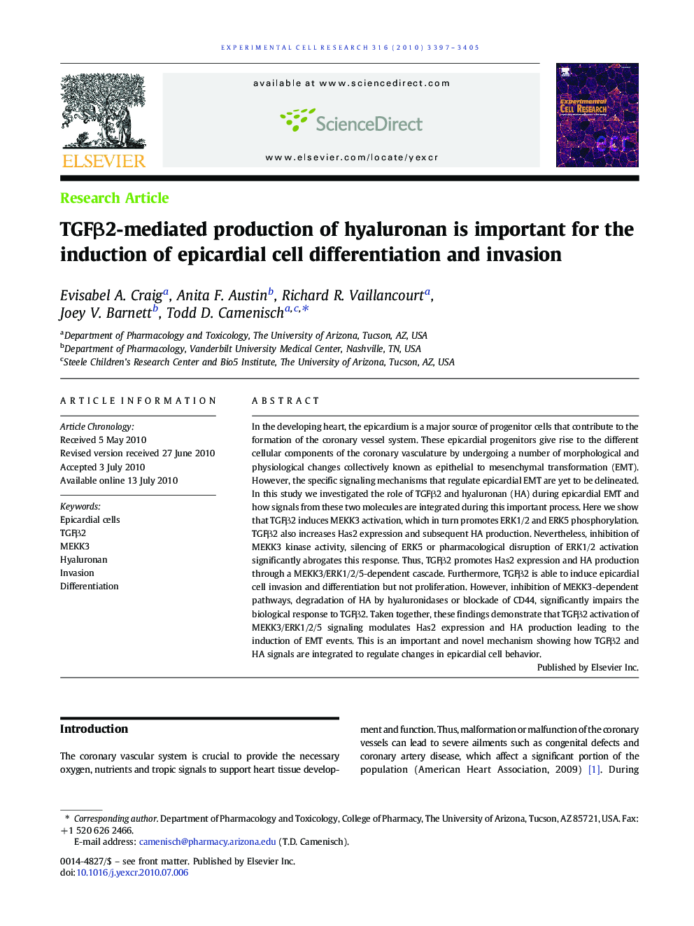 TGFβ2-mediated production of hyaluronan is important for the induction of epicardial cell differentiation and invasion