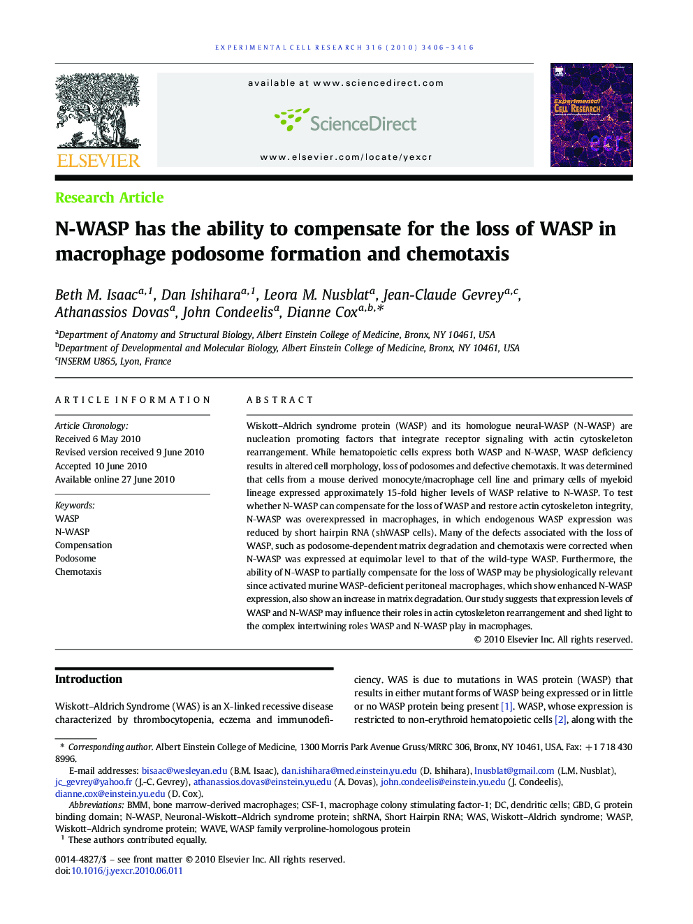 N-WASP has the ability to compensate for the loss of WASP in macrophage podosome formation and chemotaxis