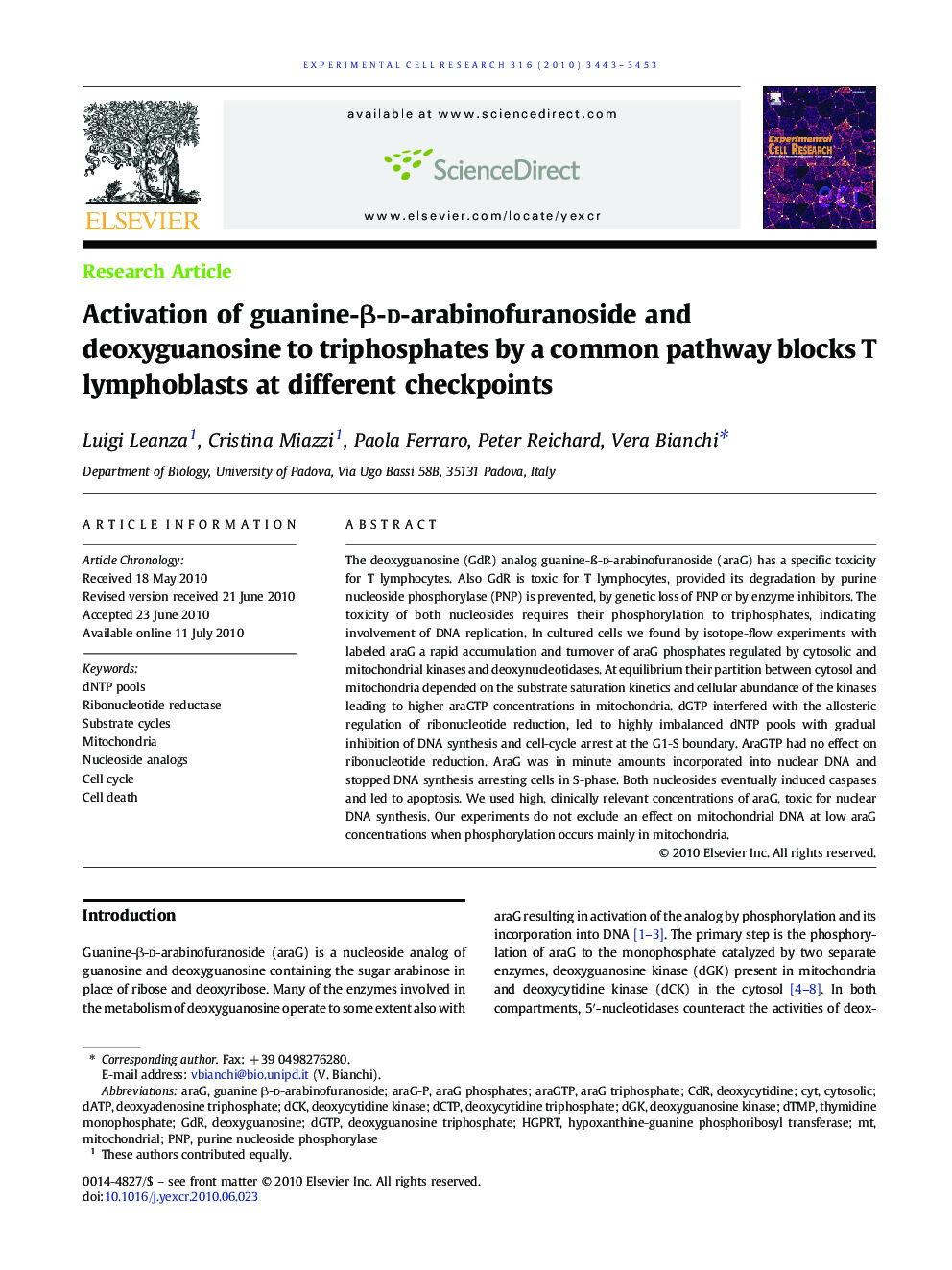 Activation of guanine-β-d-arabinofuranoside and deoxyguanosine to triphosphates by a common pathway blocks T lymphoblasts at different checkpoints