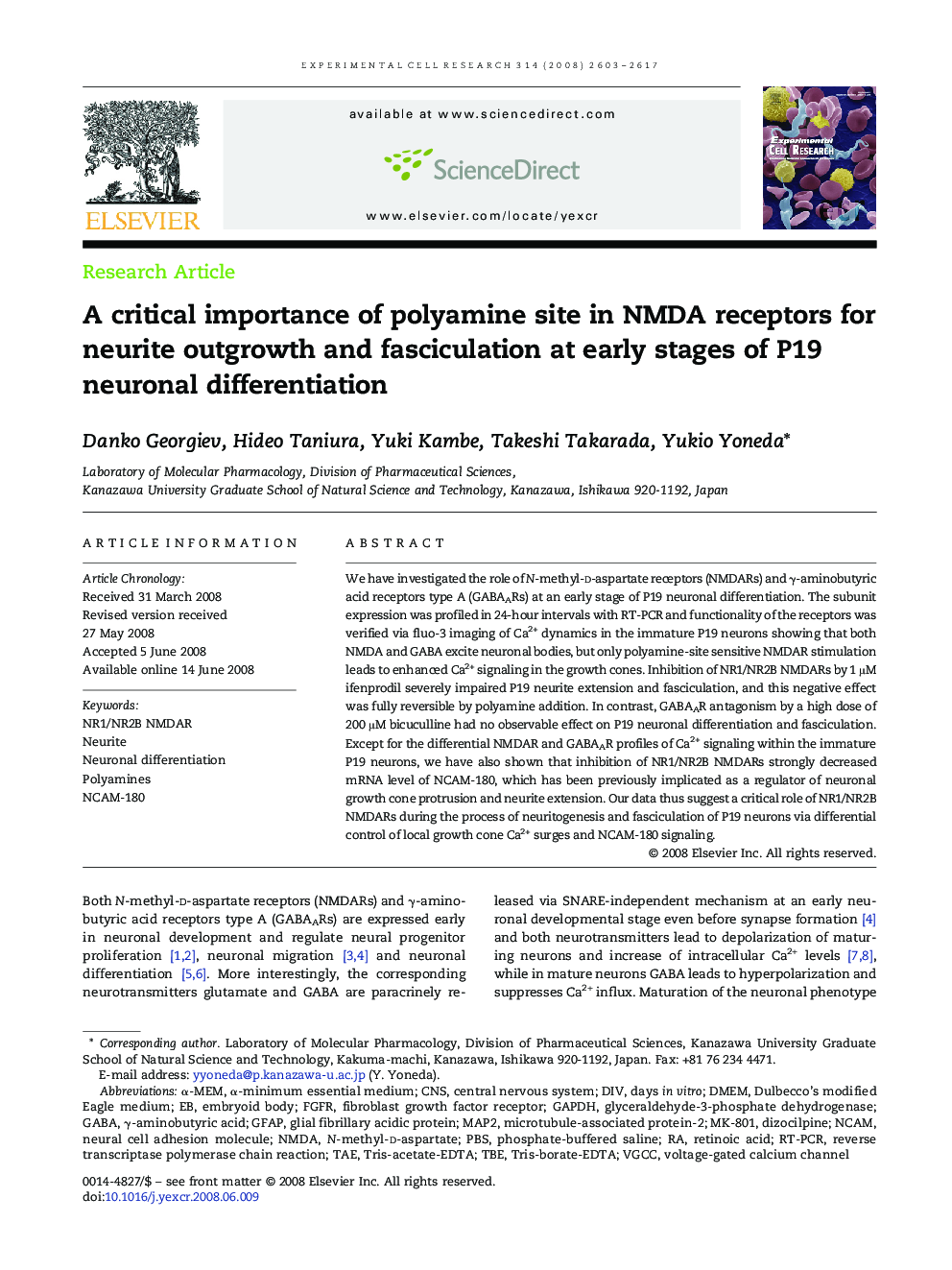 A critical importance of polyamine site in NMDA receptors for neurite outgrowth and fasciculation at early stages of P19 neuronal differentiation