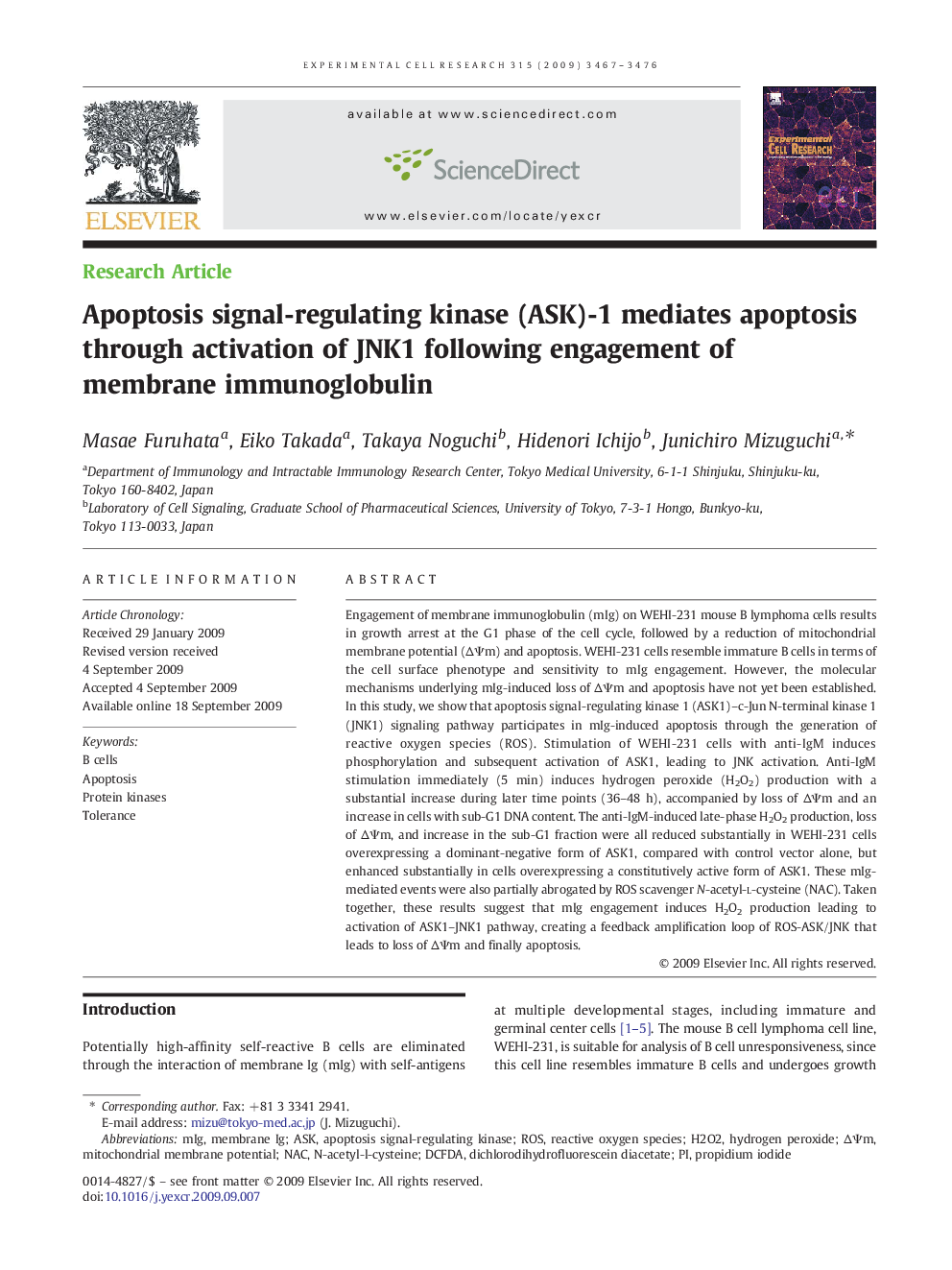 Apoptosis signal-regulating kinase (ASK)-1 mediates apoptosis through activation of JNK1 following engagement of membrane immunoglobulin