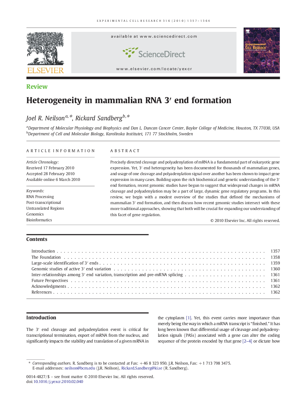 Heterogeneity in mammalian RNA 3′ end formation