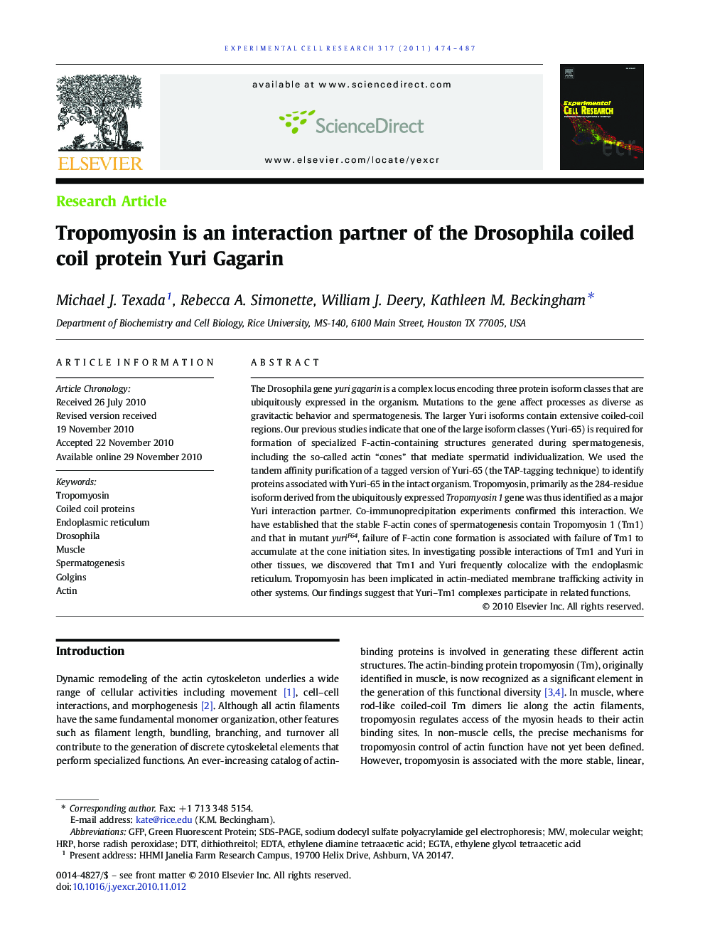 Tropomyosin is an interaction partner of the Drosophila coiled coil protein Yuri Gagarin