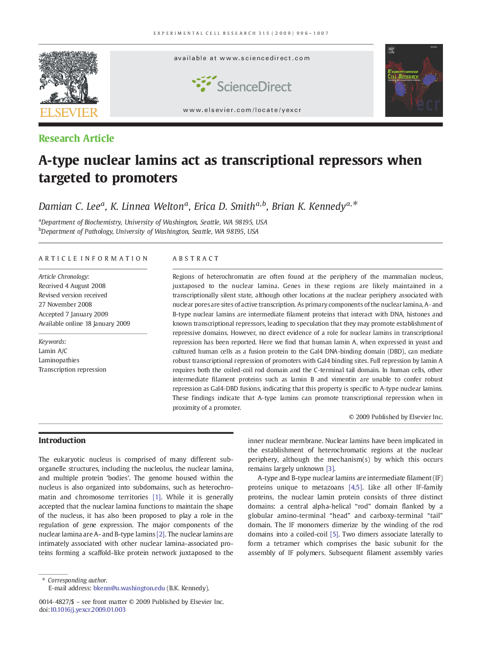 A-type nuclear lamins act as transcriptional repressors when targeted to promoters