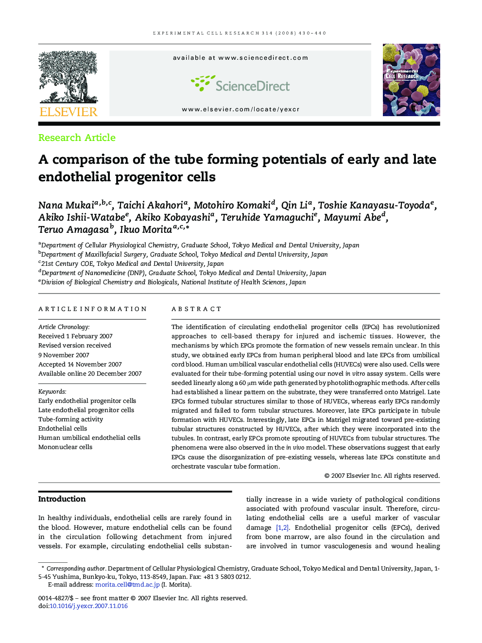 A comparison of the tube forming potentials of early and late endothelial progenitor cells