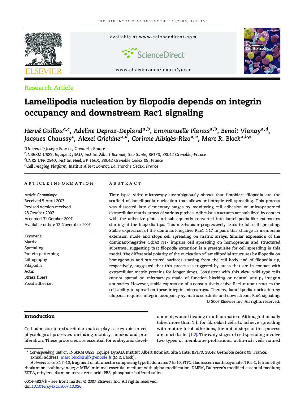 Lamellipodia nucleation by filopodia depends on integrin occupancy and downstream Rac1 signaling